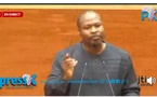 À l’Assemblée, Guy Marius Sagna fustige les « revirements » de Thierno Alassane Sall