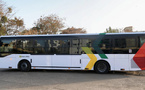 Modernisation des transports : Dakar Dem Dikk lance une nouvelle identité pour ses bus