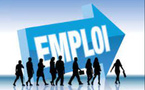 Marché du travail en 2024 : 10 386 emplois créés, plus de 77 000 contrats enregistrés, selon le rapport RAST