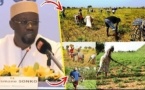 Campagne agricole 2025 : Ousmane Sonko débloque les arriérés et relance la structuration du financement agricole