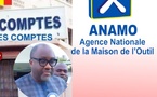 Détournement présumé de 500 millions de F Cfa à Anamo : l’ex-Daf, Omar Ndiaye, mouille l’ancien Dg, Maodo Malick Mbaye