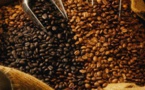En 2016, la consommation de café va exploser en Afrique