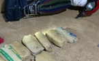 Dias : neuf (9) kilos de chanvre indien saisis par la gendarmerie, les deux (2) suspects en fuite