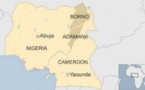 Cameroun : deux morts dans un attentat