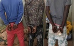 Rufisque : trois (3) trafiquants interpellés avec 39 kg de chanvre indien