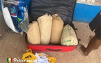 Kolda : un homme interpellé avec quatre (4) kilogrammes de chanvre indien et 69 cornets