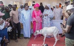 DER/FJ et FONSTAB : des moutons à prix subventionnés offerts à 5 204 bénéficiaires vulnérables pour la Tabaski 
