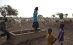 Sahel: la gestion de l'eau, source de conflits entre éleveurs et agriculteurs