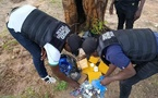 Côte d’Ivoire: lutte antidrogue avec la Direction de la police des stupéfiants et des drogues