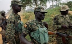 L’armée ougandaise étend son empreinte en RDC: des intérêts au-delà de la sécurité