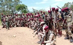 Centrafrique: les groupes armés 3R et UPC officiellement dissous