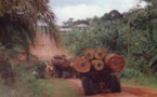 «Menaces sur les forêts africaines»: La responsabilité du groupe Bolloré