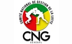 Mise en place de la Fédération Sénégalaise de Lutte : le ministère des Sports dévoile le chronogramme en quatre étapes