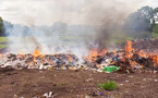 Kédougou : 20 tonnes de produits illicites incinérées, d’une valeur de 44 millions FCFA