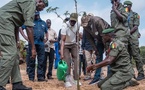 Bassirou Diomaye Faye lance la caravane de reboisement : “Chaque arbre planté est un acte de patriotisme environnemental”