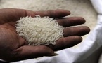 Sénégal : vers le rétablissement des droits de douane sur le riz brisé ordinaire