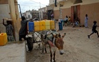 Mauritanie: la capitale Nouakchott connait une pénurie d'eau qui se vend à prix d'or