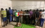 Opération d'envergure à Ngor : un réseau de trafic de drogue démantelé, 17 personnes arrêtées