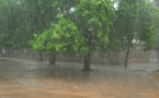 Prévisions météo : retour des pluies dans plusieurs régions du Sénégal