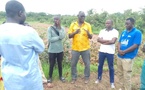 Vacances agricoles à Kolda : la jeunesse du Fouladou mobilisée pour la souveraineté alimentaire