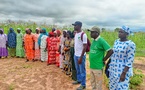 ​Agriculture et entrepreneuriat : le projet AVENIR transforme la vie des communautés au Sénégal
