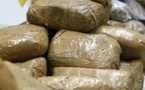 Coup de filet anti-drogue à Bambey : deux (2) individus arrêtés avec 8,45 kg de chanvre indien