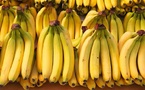 Suspension des importations de bananes : l'Arm veille à la régulation et à la stabilité des prix