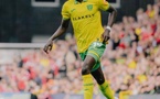 Norwich : grave blessure et longue absence pour Papa Amadou Diallo