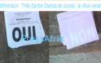​Référendum - Thiès (Centre Champs de course) : le «Oui» devant