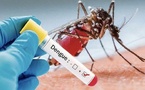 Flambée de la maladie de Dengue : 31 cas déjà enregistrés au district sanitaire de Pikine