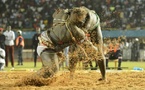 Lutte sénégalaise : le Comité national de gestion maintenu jusqu'à l'installation de la Fédération (Ministère)