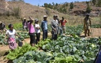 Sommet UA/UE: près d’Antananarivo, une formation agricole illustre le partenariat Madagascar-Europe