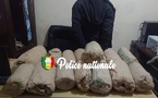 Fatick : interception de 15 kg de chanvre indien, un individu arrêté par la BRS