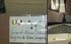 Trafic de drogue : 17 kg de kush saisis dans un colis venu d’Asie à Dakar