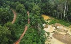 Extraction aurifère au Ghana: comment une mobilisation citoyenne préserve la forêt?