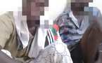 Tambacounda : deux (2) individus interpellés en possession de 200 comprimés de Tramadol