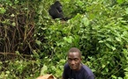 Est de la RDC: protéger la faune de la guerre est «un grand défi», souligne un garde forestier