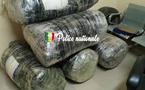 Thiès : l’OCRTIS saisit 196 kg de chanvre indien à Mbodiène