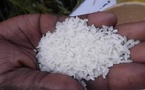 Thiès : le conseil régional de la consommation valide la baisse du prix du riz brisé ordinaire