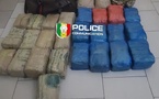 Fatick : 28 kg de chanvre indien saisis par la BRS, des trafiquants en fuite
