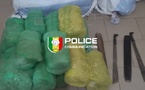 Fatick : 54 kg de chanvre indien saisis en pleine forêt, deux convoyeurs arrêtés