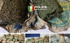Lutte contre le trafic de drogue : importante saisie de 120 kg de chanvre indien à Mbour