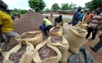 Côte d'Ivoire: deux leaders de la filière cacao accusés de diffamation et de calomnie incarcérés