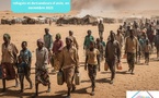 Crise migratoire au Sahel  : 3,7 millions de réfugiés et demandeurs d'asile  en  2025
