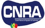 Couverture médiatique du référendum du 20 mars 2016: le CNRA tape sur la presse