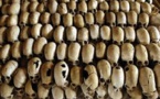 ​Génocide rwandais: deux anciens bourgmestres face à la justice française