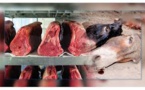 ​20 tonnes de viande d’âne en partance pour la Chine saisies