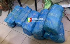Fatick : 23 kg de chanvre indien saisis dans la forêt de Pakala
