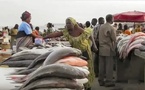 ​Protections sociales au Sénégal: les mareyeuses interpellent l’Etat sur leur sécurité et réclament un soutien