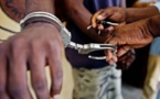 Poursuivi pour trafic de drogue : l'étudiant en Sociologie écope de 10 ans de prison ferme